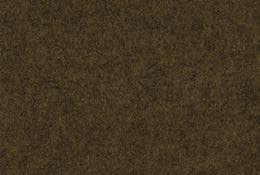 focus-melange-61238.jpg